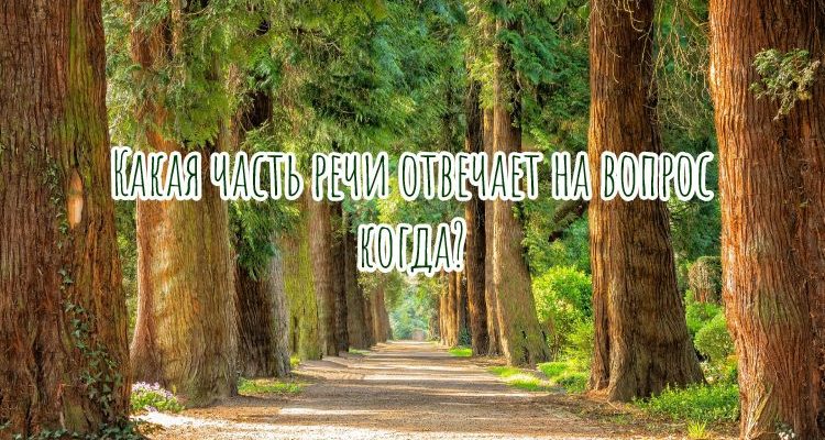 Какая часть речи отвечает на вопрос когда
