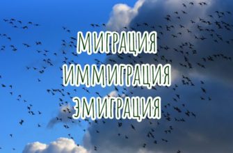 Миграция, иммиграция и эмиграция - в чем разница